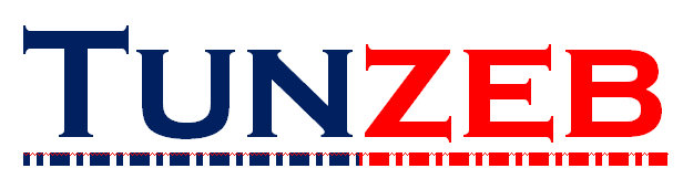 tunzeb.com